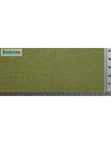001CE111 Field Grass