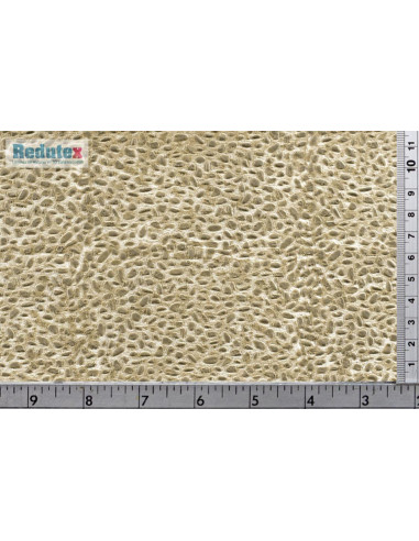 REDUTEX 043CR112 Canto Rodado