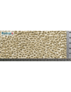 REDUTEX 043CR112  Pavé