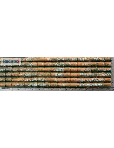 REDUTEX 1:12 Teja Arabe